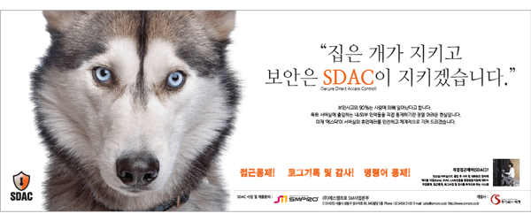 sdac신문광고1